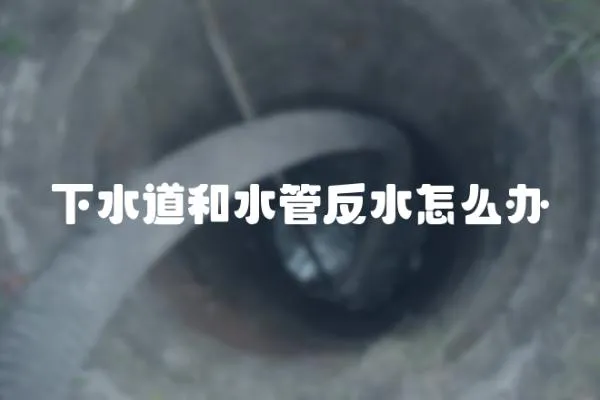 下水道和水管反水怎么辦