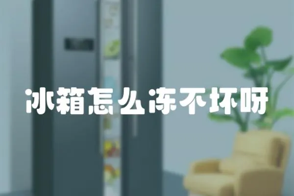 冰箱怎么凍不壞呀