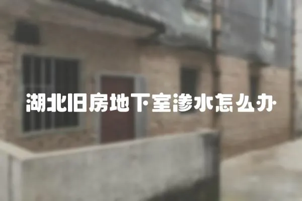 湖北舊房地下室滲水怎么辦