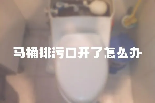 馬桶排污口開了怎么辦