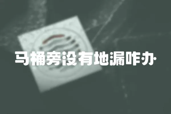 馬桶旁沒有地漏咋辦