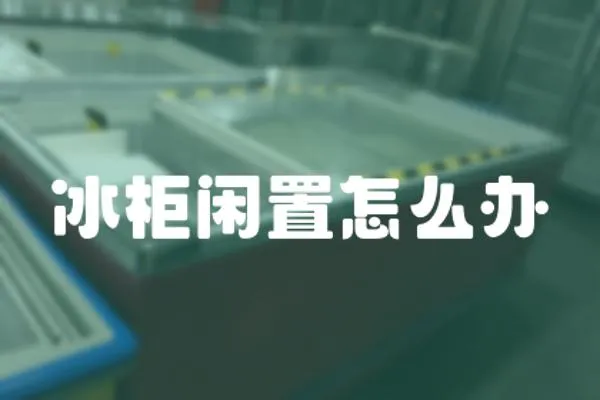 冰柜閑置怎么辦