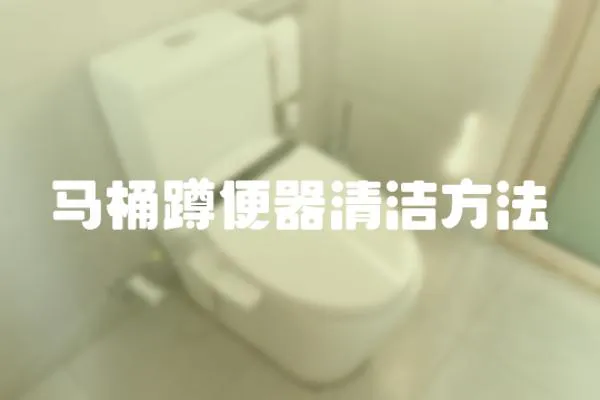 馬桶蹲便器清潔方法