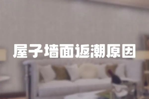 屋子墻面返潮原因