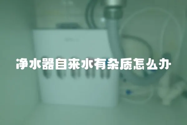 净水器自来水有杂质怎么办