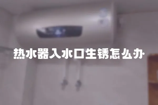 熱水器入水口生銹怎么辦