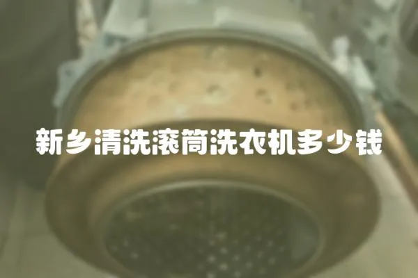 新鄉清洗滾筒洗衣機多少錢