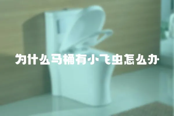 為什么馬桶有小飛蟲怎么辦