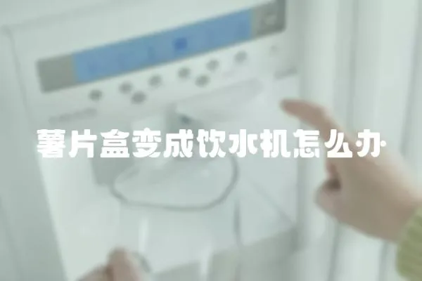 薯片盒變成飲水機(jī)怎么辦