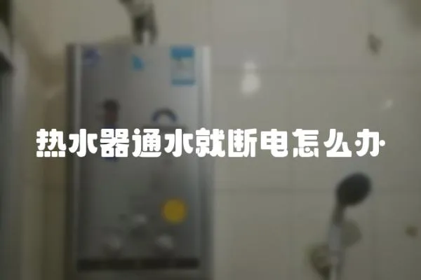 熱水器通水就斷電怎么辦