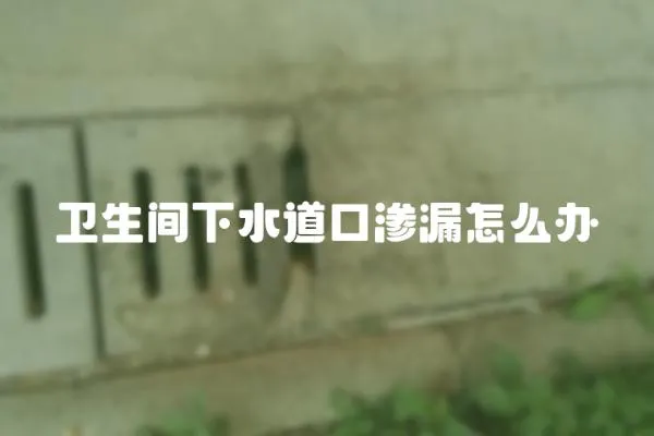 衛生間下水道口滲漏怎么辦