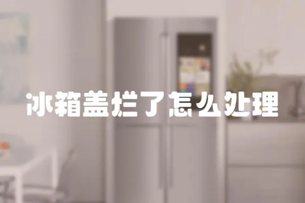 冰箱蓋爛了怎么處理