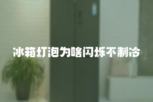 冰箱燈泡為啥閃爍不制冷