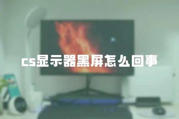 cs显示器黑屏怎么回事