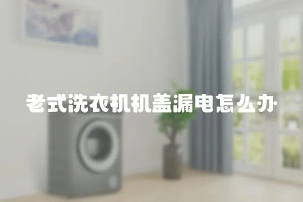 老式洗衣機機蓋漏電怎么辦