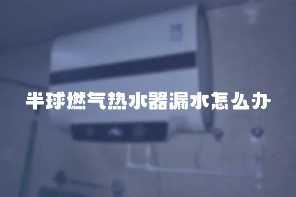 半球燃氣熱水器漏水怎么辦