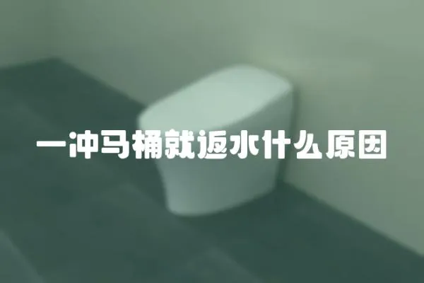 一冲马桶就返水什么原因