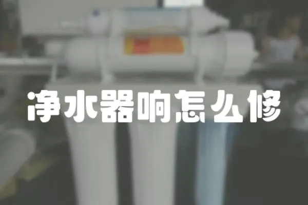 凈水器響怎么修