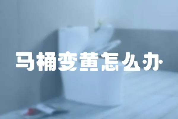 馬桶變黃怎么辦