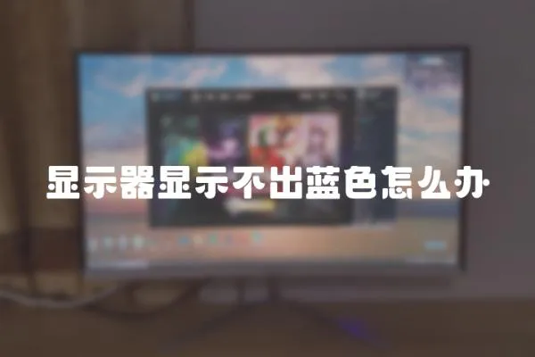 显示器显示不出蓝色怎么办