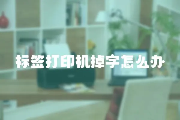 標簽打印機掉字怎么辦