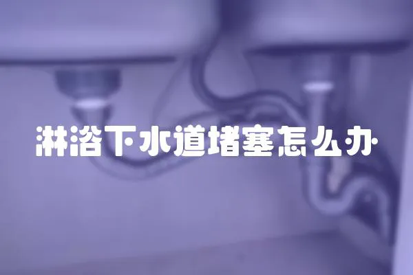 淋浴下水道堵塞怎么辦