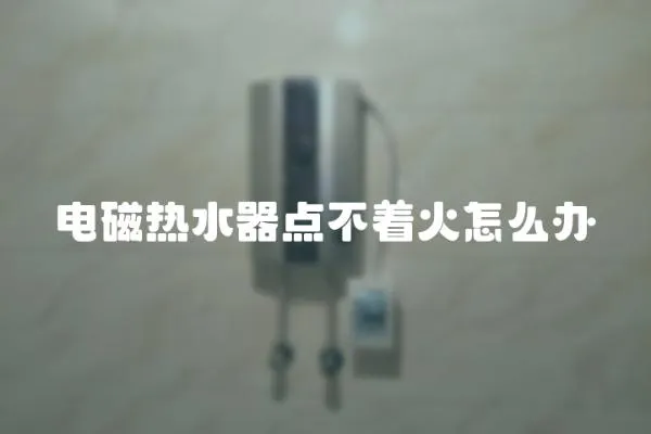 電磁熱水器點不著火怎么辦