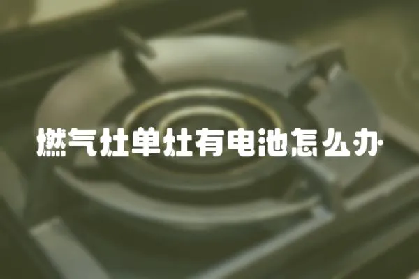 燃?xì)庠顔卧钣须姵卦趺崔k