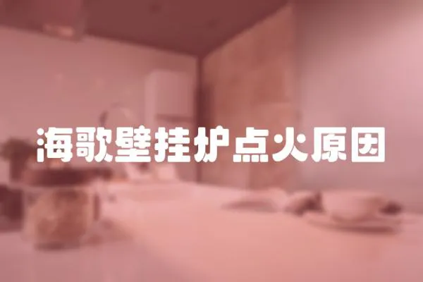 海歌壁掛爐點火原因