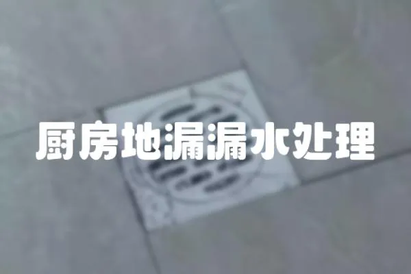 廚房地漏漏水處理