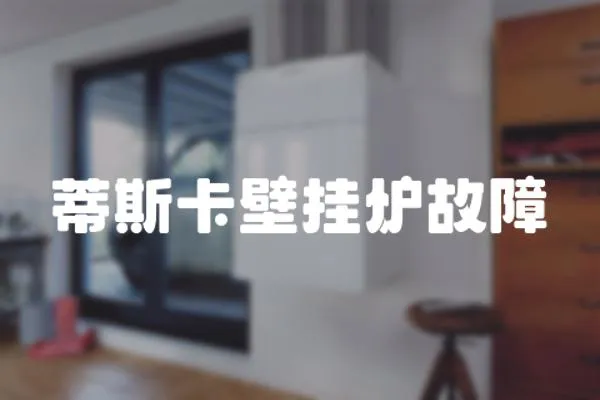 蒂斯卡壁掛爐故障