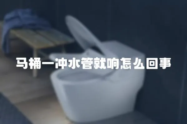 馬桶一沖水管就響怎么回事