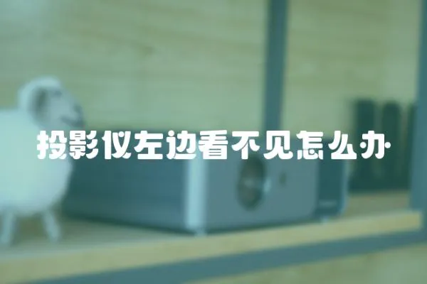 投影儀左邊看不見怎么辦