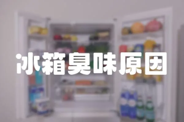 冰箱臭味原因