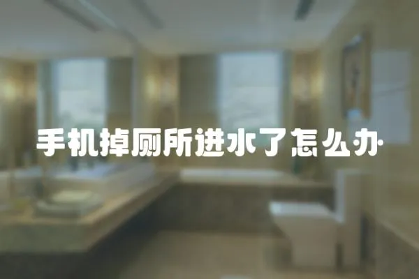 手機(jī)掉廁所進(jìn)水了怎么辦