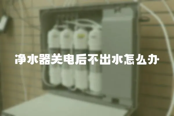 凈水器關電后不出水怎么辦