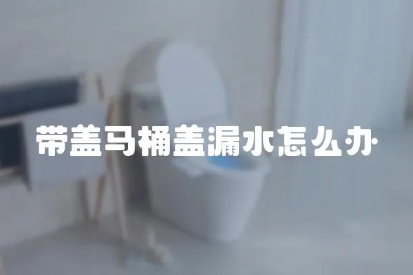 帶蓋馬桶蓋漏水怎么辦
