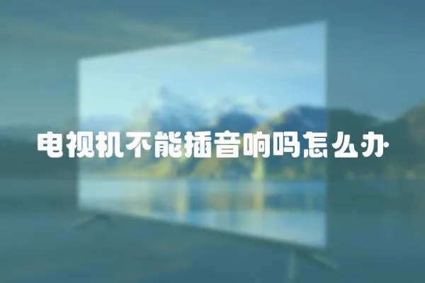 電視機(jī)不能插音響嗎怎么辦