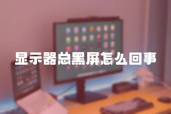 顯示器總黑屏怎么回事