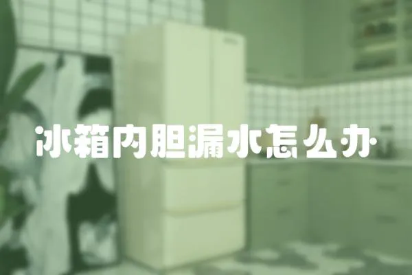 冰箱內膽漏水怎么辦