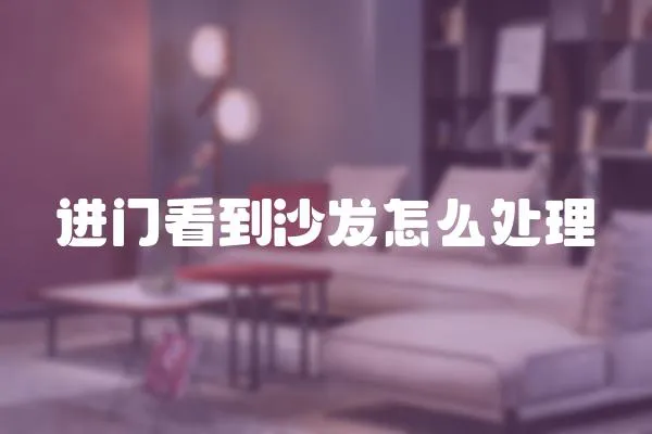 進(jìn)門看到沙發(fā)怎么處理