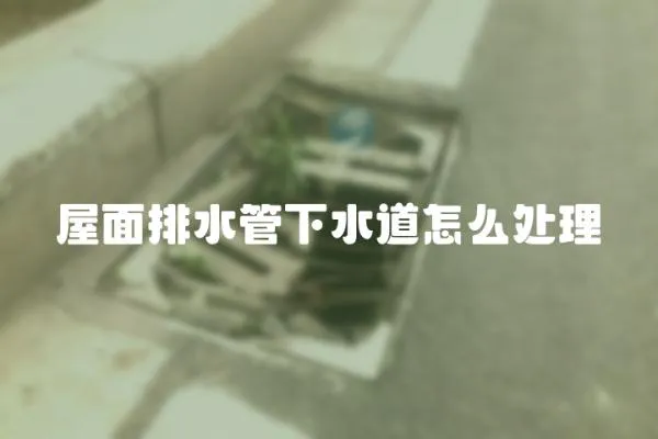 屋面排水管下水道怎么處理
