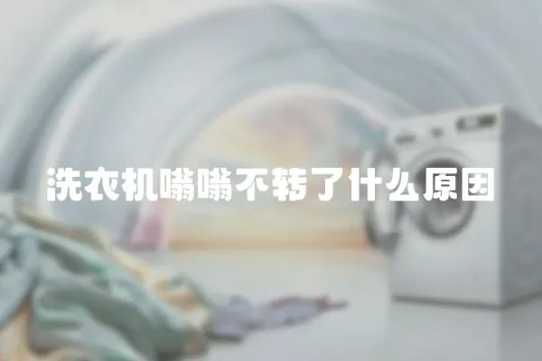 洗衣機嗡嗡不轉了什么原因