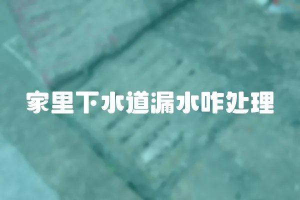 家里下水道漏水咋處理