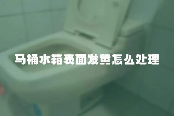 馬桶水箱表面發黃怎么處理