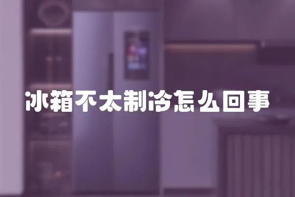 冰箱不太制冷怎么回事