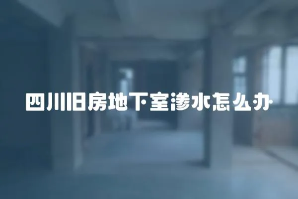 四川舊房地下室滲水怎么辦