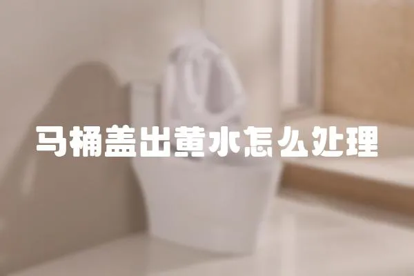 馬桶蓋出黃水怎么處理