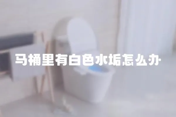馬桶里有白色水垢怎么辦