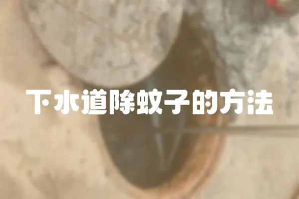 下水道除蚊子的方法